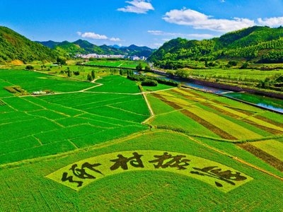 鄉(xiāng)村振興工作動態(tài) （第146期）