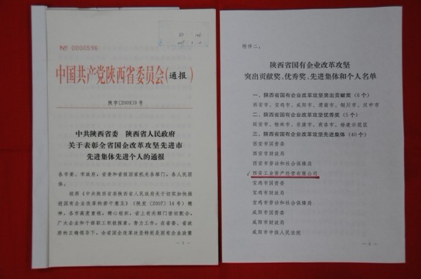 2009年2月，被陜西省委、省政府授予陜西省國(guó)有企業(yè)改革攻堅(jiān)先進(jìn)集體